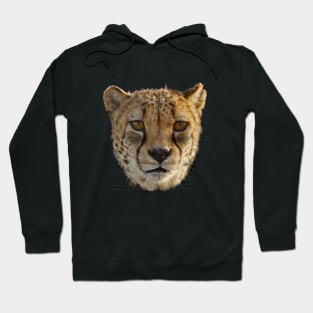 African Cheetah Wildlife Hoodie